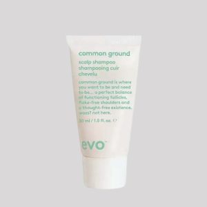 Champú anti-caspa EVO Common Ground - 300 ml.